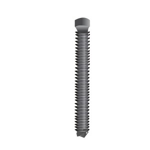 Tornillo bloqueado hueco full rosca